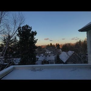 Meet your Posher, Molly